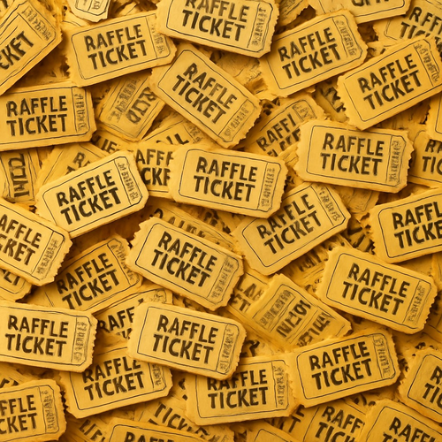 Buy a Raffle Ticket
